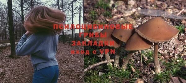 СК Аркадак