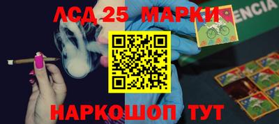 гашик Владивосток