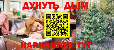 стафф Владимир