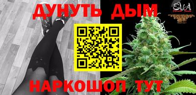 стафф Владимир