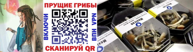 Псилоцибиновые грибы GOLDEN TEACHER  Белорецк 